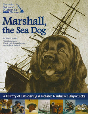 Book cover for Marshall, the Sea Dog