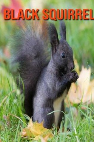 Cover of Black Squirrel