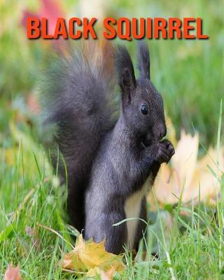 Book cover for Black Squirrel