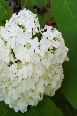 Cover of Floral Journal Summer Hydrangea