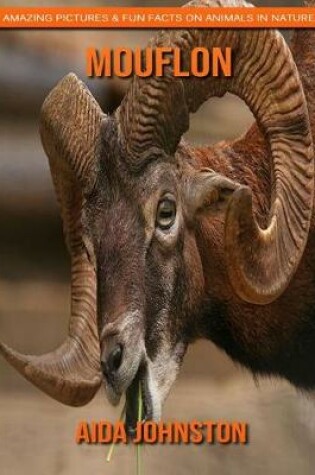 Cover of Mouflon