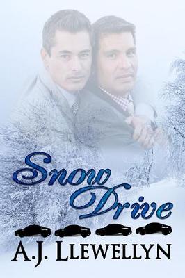 Book cover for Snow Drive