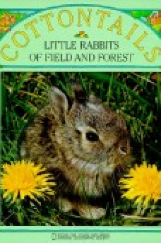 Cover of Cottontails