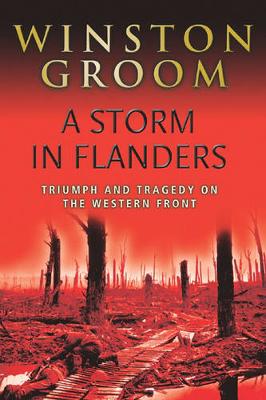 Book cover for A Storm in Flanders