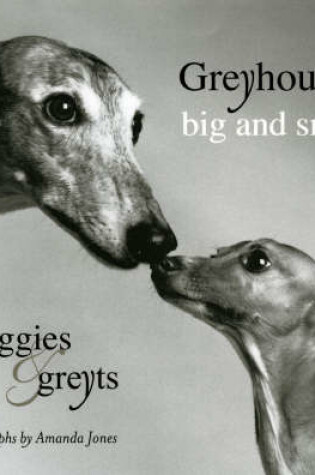 Cover of Greyhounds Big And Small