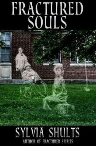 Cover of Fractured Souls