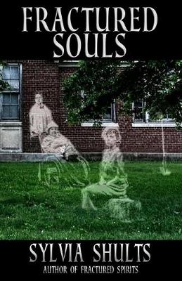 Book cover for Fractured Souls