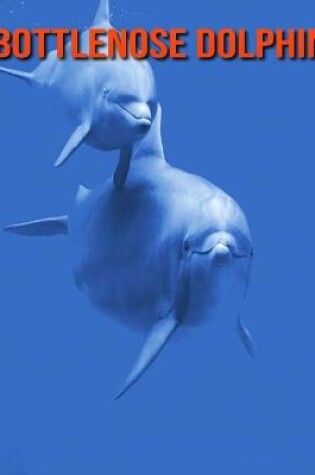 Cover of Bottlenose Dolphin