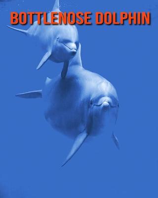 Book cover for Bottlenose Dolphin