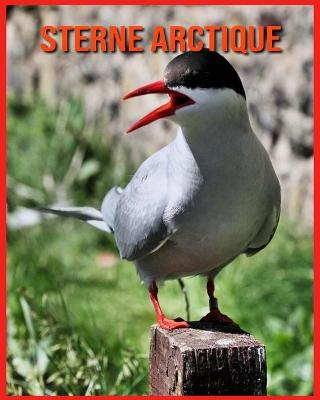 Book cover for Sterne Arctique