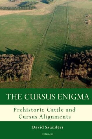 Cover of The Cursus Enigma