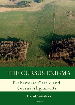 Book cover for The Cursus Enigma