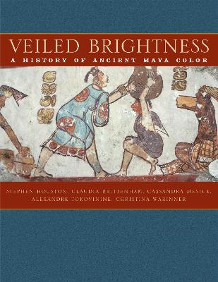 Book cover for Veiled Brightness