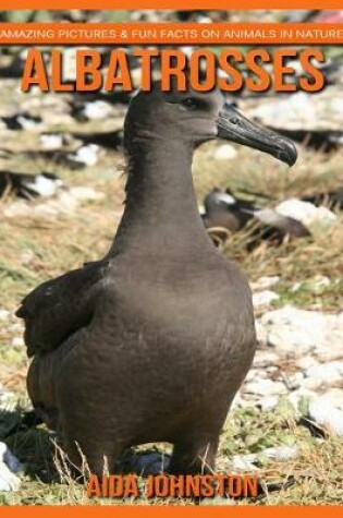 Cover of Albatrosses