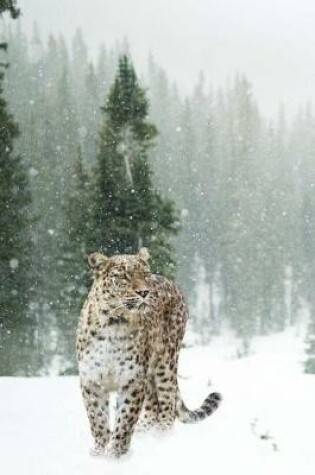 Cover of Persian Leopard in a Snow Covered Winter Forest Journal