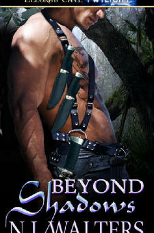 Cover of Beyond Shadows