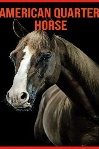 Cover of American Quarter Horse