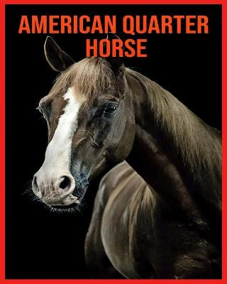 Book cover for American Quarter Horse