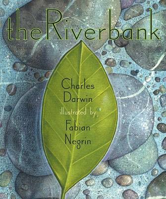 Book cover for The Riverbank