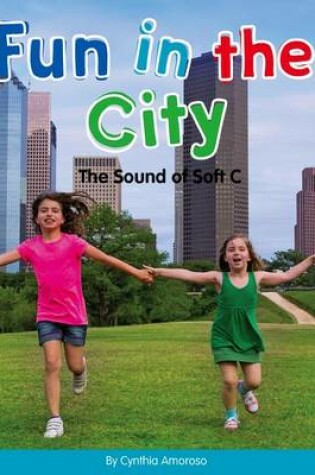 Cover of Fun in the City