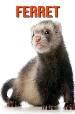 Cover of Ferret