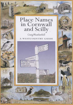 Book cover for Place Names in Cornwall and Scilly