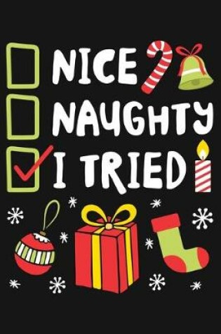 Cover of Nice Naughty I Tried