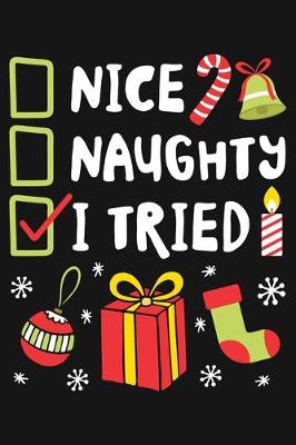 Book cover for Nice Naughty I Tried