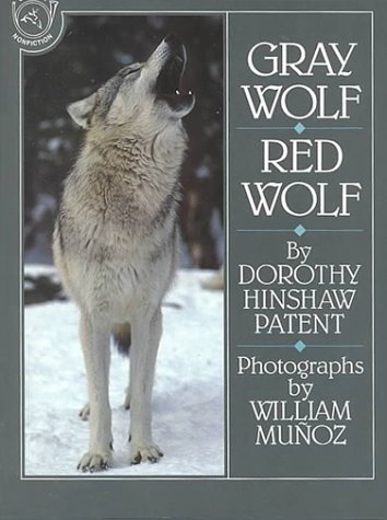 Book cover for Gray Wolf, Red Wolf