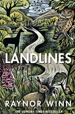 Cover of Landlines