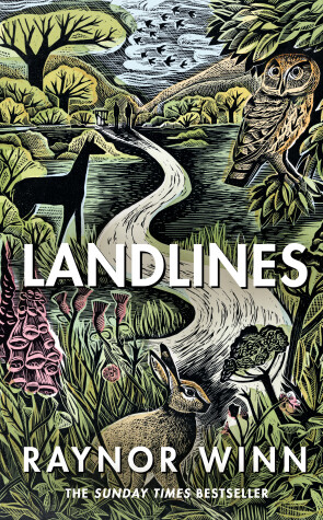 Book cover for Landlines