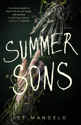 Book cover for Summer Sons
