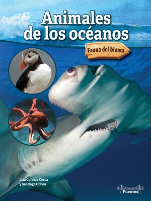 Book cover for Animales de Los Océanos