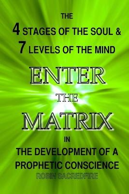 Book cover for Enter the Matrix