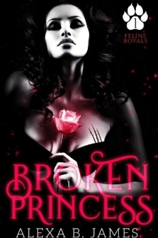 Cover of Broken Princess