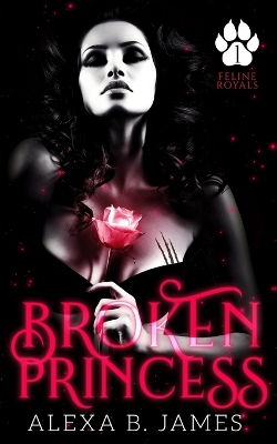Book cover for Broken Princess