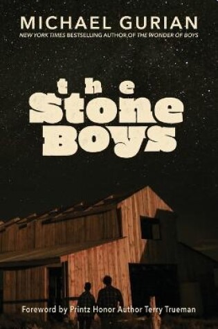 Cover of The Stone Boys