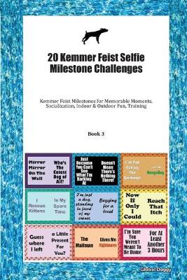 Book cover for 20 Kemmer Feist Selfie Milestone Challenges