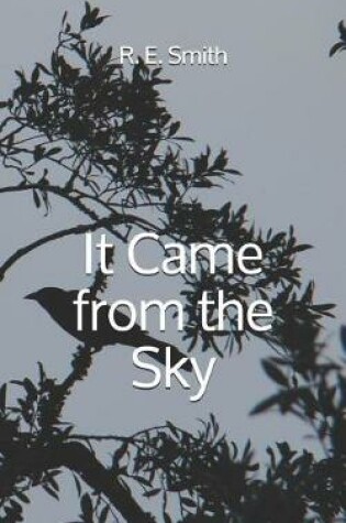 Cover of It Came from the Sky