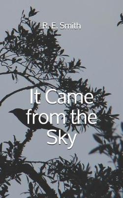 Book cover for It Came from the Sky