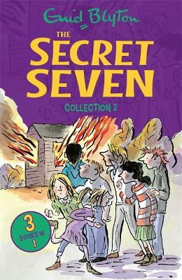 Book cover for The Secret Seven Collection 2