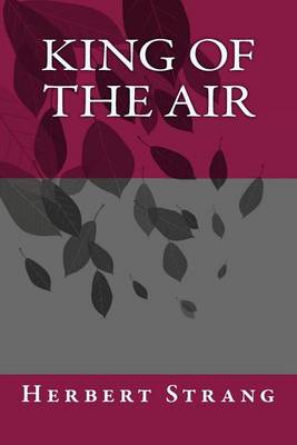 Book cover for King of the Air