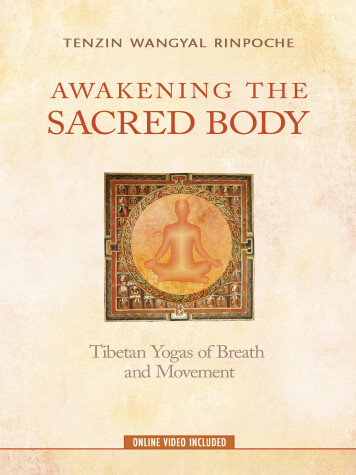 Book cover for Awakening the Sacred Body