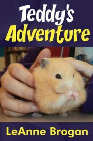 Cover of Teddy's Adventure