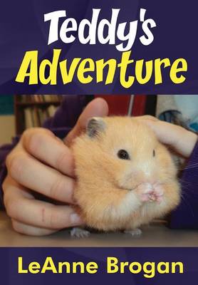 Book cover for Teddy's Adventure