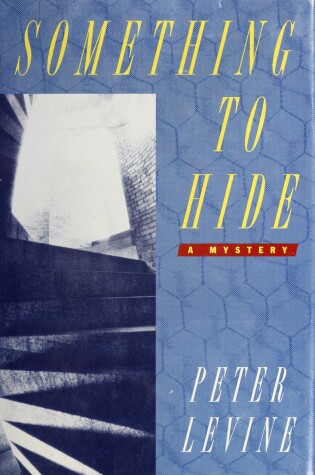 Cover of Something to Hide