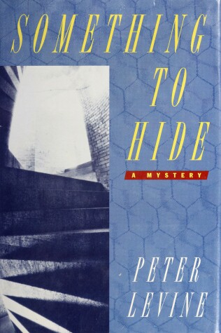 Book cover for Something to Hide