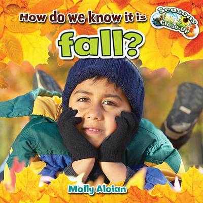 Cover of How Do We Know It Is Fall?