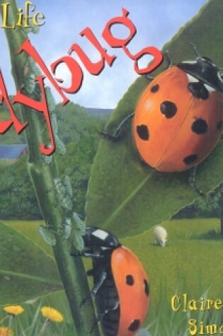 Cover of Starting Life: Ladybug