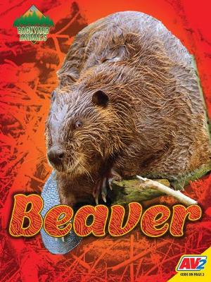 Book cover for Beaver